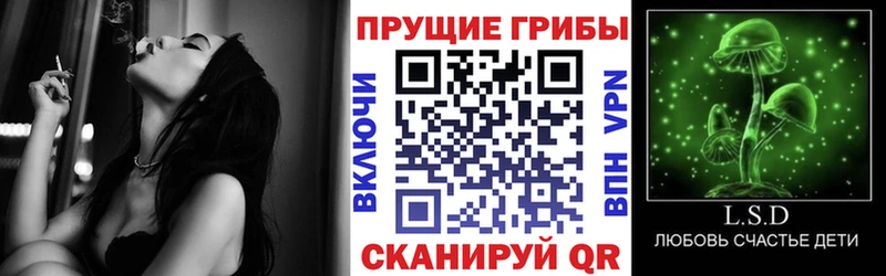 darknet какой сайт  MEGA вход  Воскресенск  Галлюциногенные грибы мухоморы 