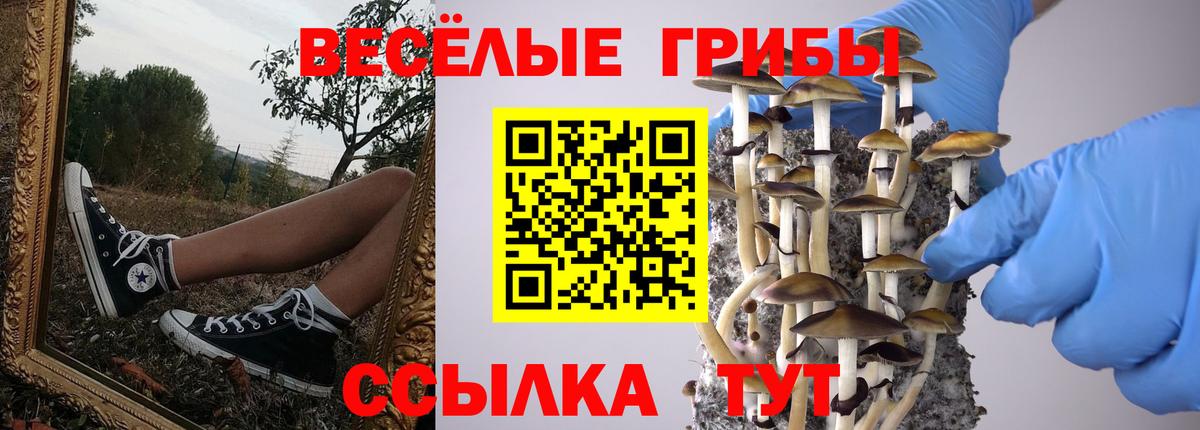 Воскресенск  Галлюциногенные грибы прущие грибы  Вход с VPN  Галлюциногенные грибы прущие грибы 