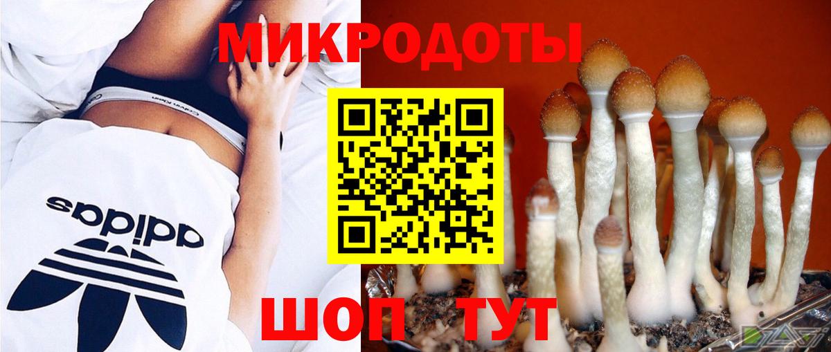 Псилоцибиновые грибы Psilocybine cubensis Воскресенск